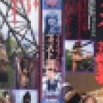 プライベートSM　フィスト調教　細川　小夜　志摩伝説