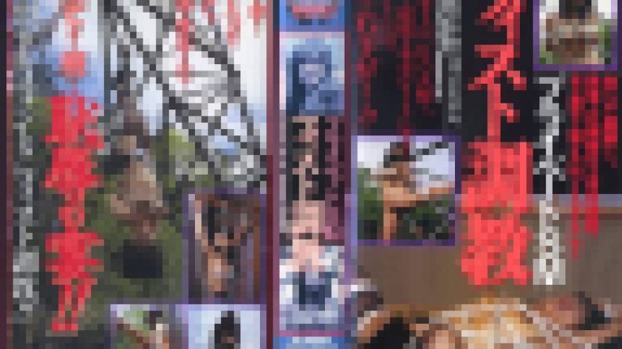 プライベートSM　フィスト調教　細川　小夜　志摩伝説