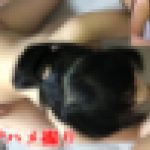 『先週のJD第二弾！』むっちり大学生にカメラマン参戦で3P大乱行！精力尽きるまでハメ倒す！！　愛人34　素妻成長日誌