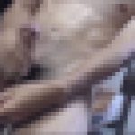 MODEL希望します！ Motoki　Motoki　G-EAGLE