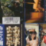 みだら調教　妾隷　立木　美子　志摩伝説