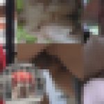 アパートでの撮影　有里　完熟壺