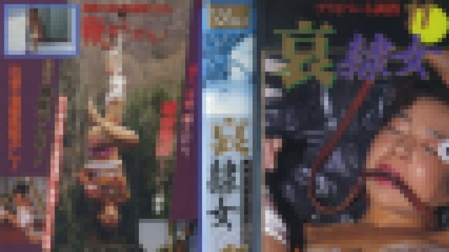 プライベート調教１１　哀隷女　清水　美来　志摩伝説