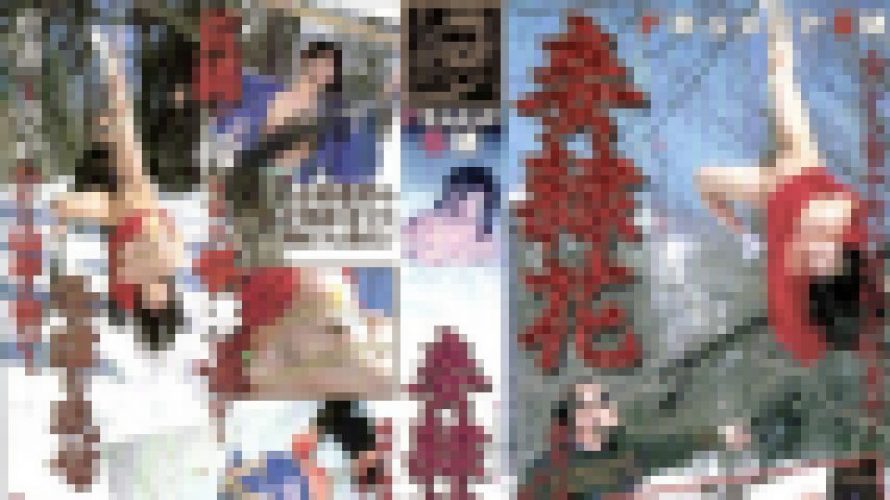 ドキュメントＳＭ　妾隷花　大竹　美幸　志摩伝説