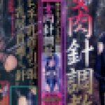 ドキュメントＳＭ　女肉針奴隷　松田　美保　志摩伝説