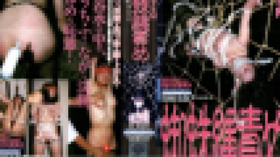 マニアＳＭ　蜘蛛縄責め　南川　彩子　志摩伝説