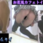 お花見カフェの仮設トイレ３カメ盗撮 part2　素人　のぞきザムライ
