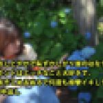 おしとやかで恥ずかしがり屋のはなちゃん、 ホントはエッチなこと大好きで、 あそこぬるぬるで何度も痙攣イキしちゃいます。 3中出し　はな　一番槍