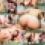 Akiho Yoshizawa COLLECTION 4　吉沢明歩　EAGLE