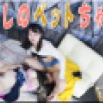 わたしのペットちゃん?しずかさんとみつかちゃん?3　しずかみつか　レズのしんぴ